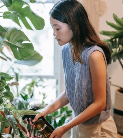 Best Indoor Plants To Bring On A Road Trip: Durable And Resilient